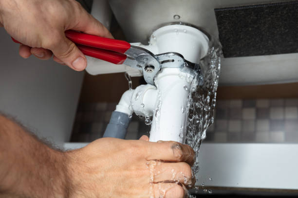 Best Ceiling water damage repair  in Wyomissing, PA