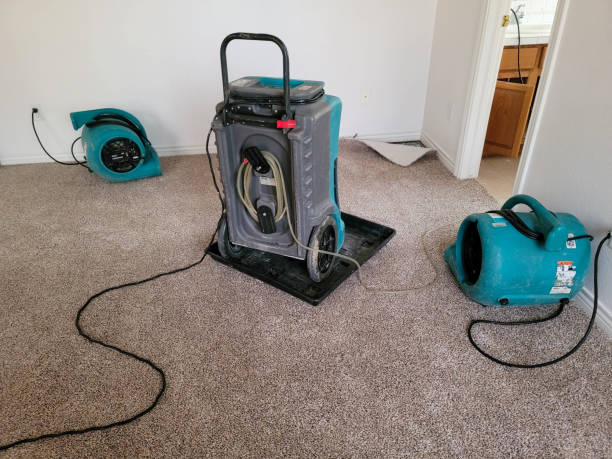 Local water damage restoration in Wyomissing, PA