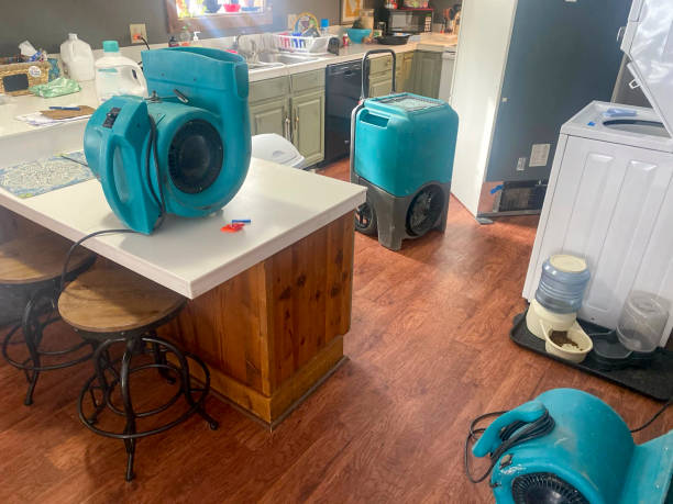 Best Flood damage cleanup  in Wyomissing, PA