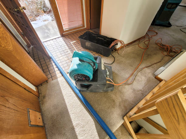 Best Local water damage restoration  in Wyomissing, PA