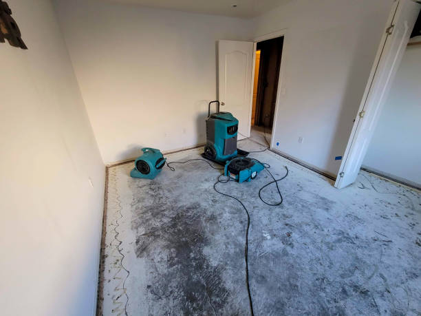 Best Flood damage cleanup  in Wyomissing, PA