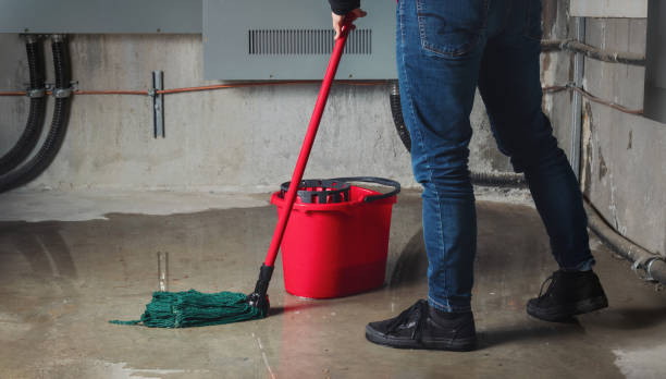Best Residential water damage restoration  in Wyomissing, PA