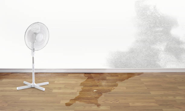 Best Flooded house restoration  in Wyomissing, PA