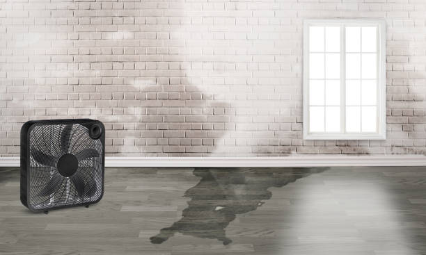 Sewage cleanup and water damage restoration in Wyomissing, PA