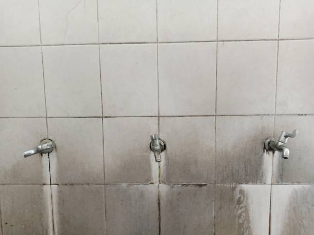 Carpet water damage restoration in Wyomissing, PA