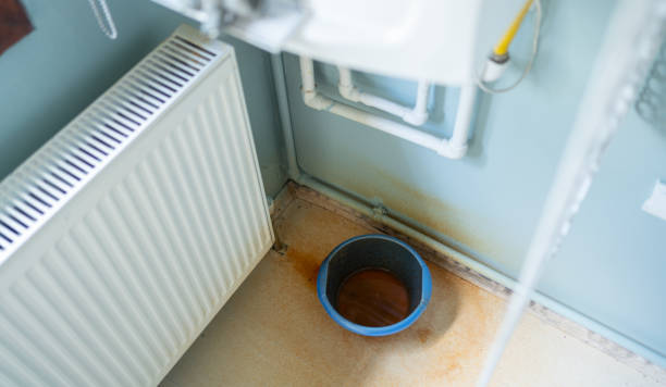Best Flooded house restoration  in Wyomissing, PA