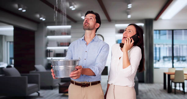 Best Flood restoration services  in Wyomissing, PA