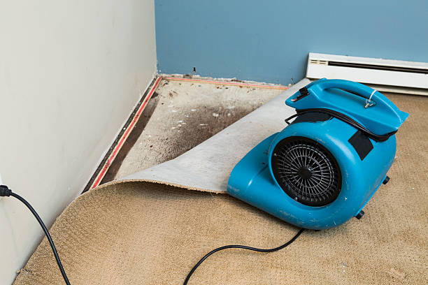 Best Commercial water damage restoration  in Wyomissing, PA